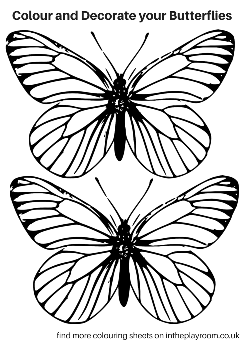 90 Butterfly Coloring Page Printable 41