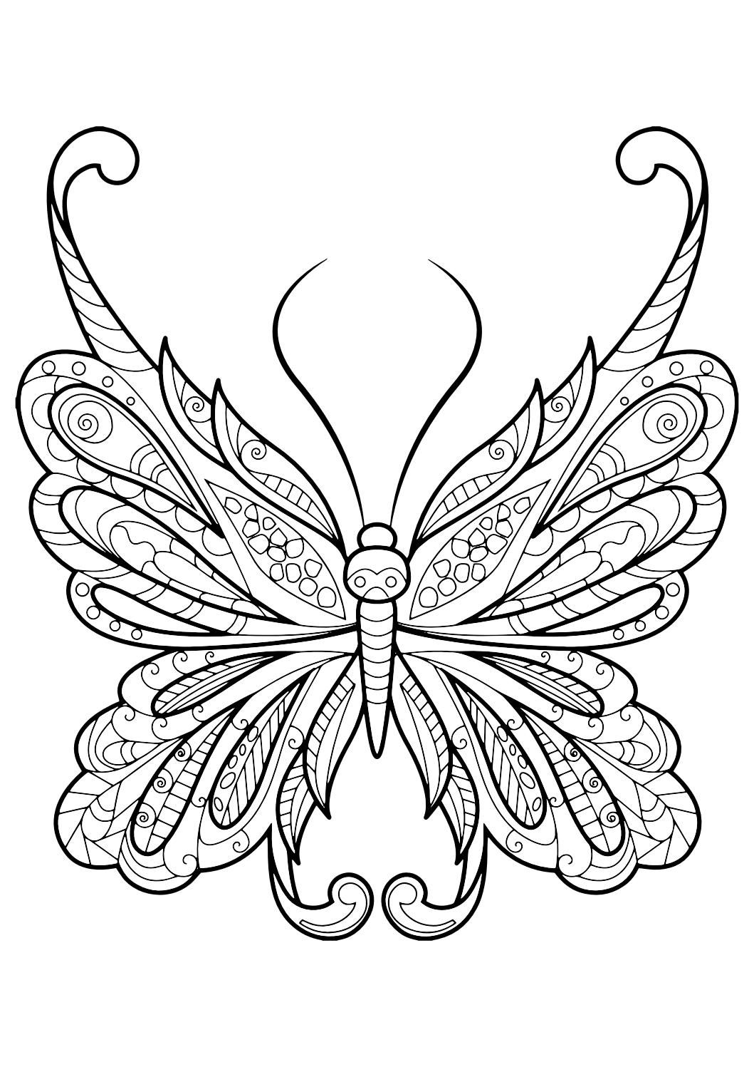 90 Butterfly Coloring Page Printable 43