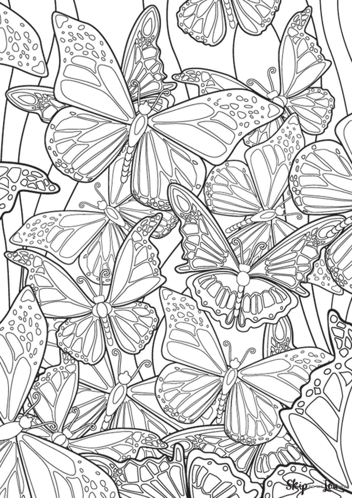 90 Butterfly Coloring Page Printable 44