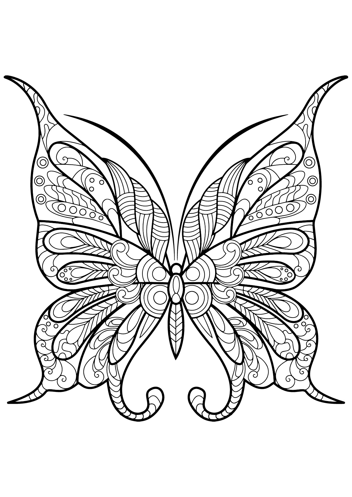 90 Butterfly Coloring Page Printable 45