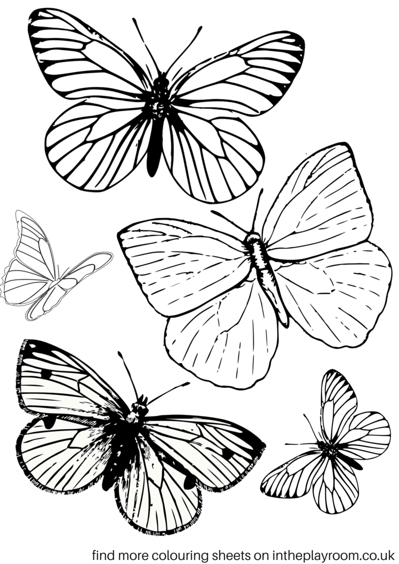 90 Butterfly Coloring Page Printable 47