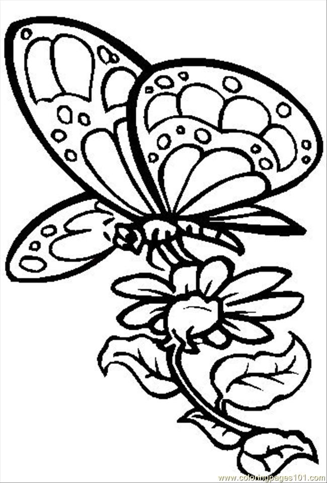 90 Butterfly Coloring Page Printable 62