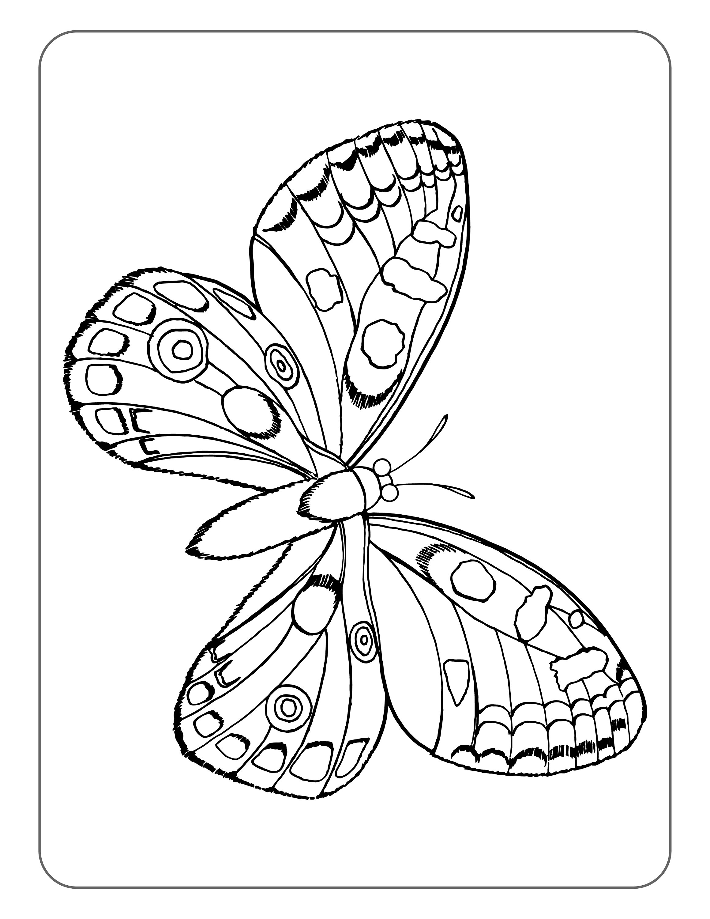 90 Butterfly Coloring Page Printable 81