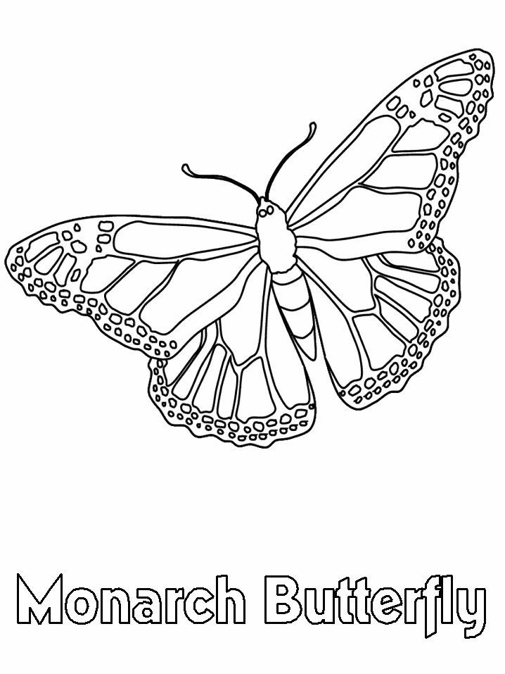 90 Butterfly Coloring Page Printable 82