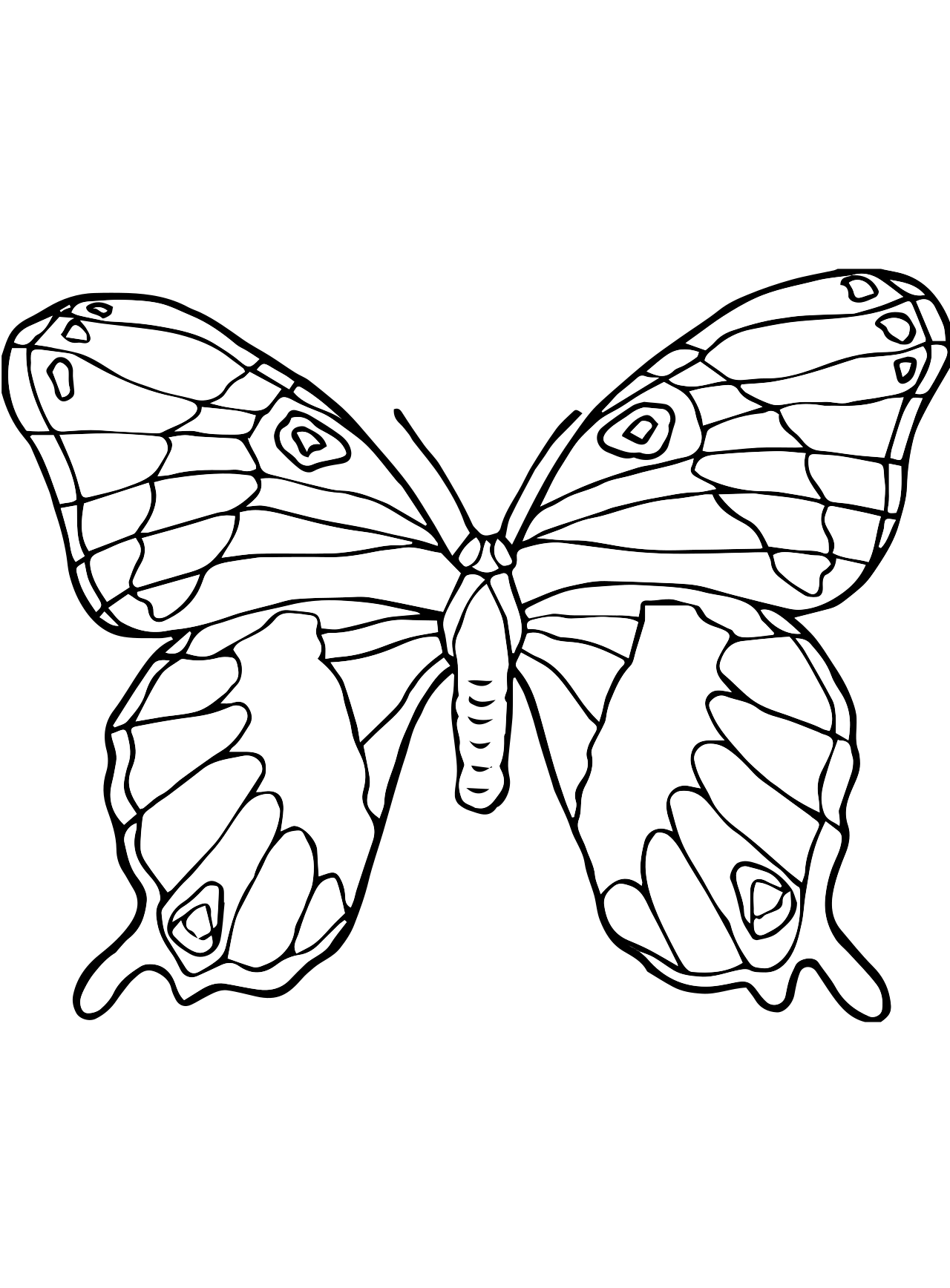 90 Butterfly Coloring Page Printable 85