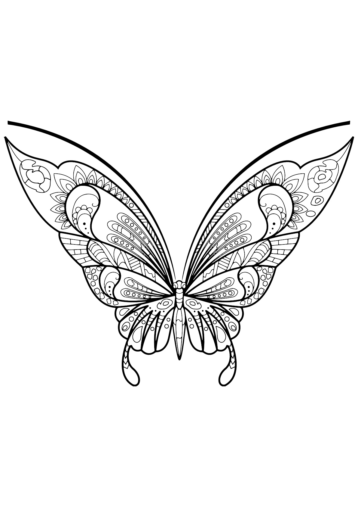 90 Butterfly Coloring Page Printable 88