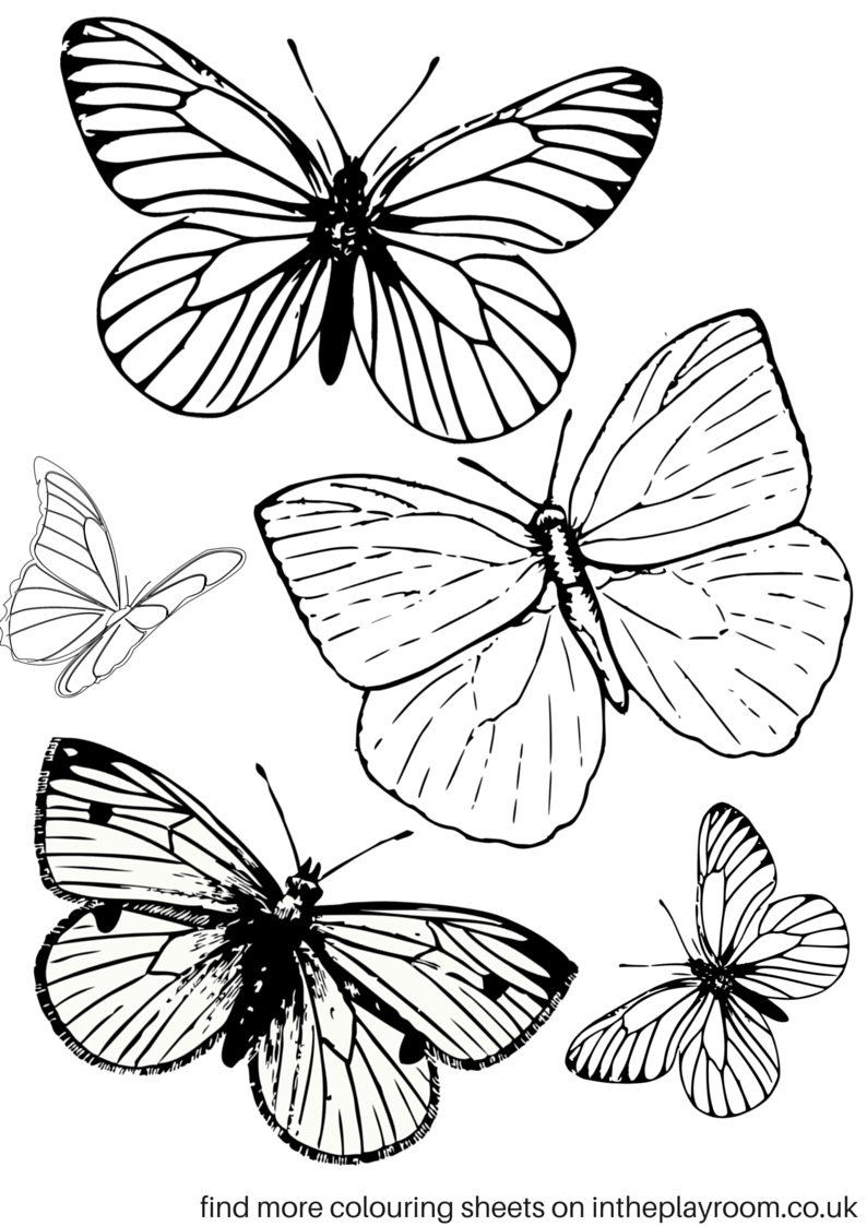 90 Butterfly Coloring Page Printable 89