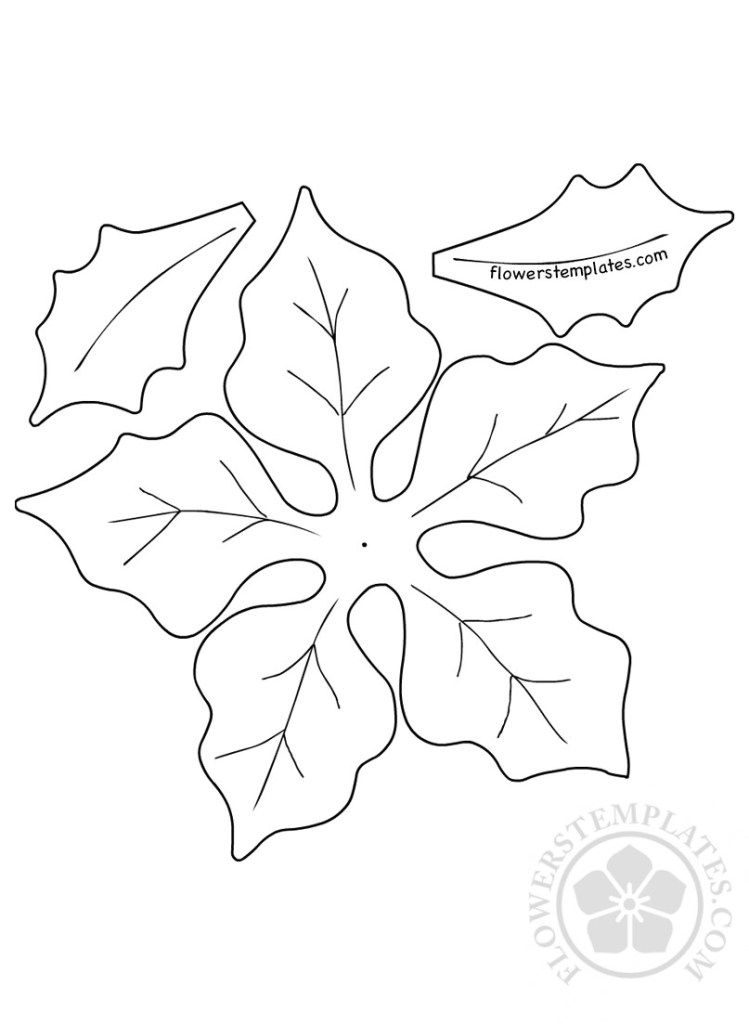 60 Poinsettia Template Printable Free 15