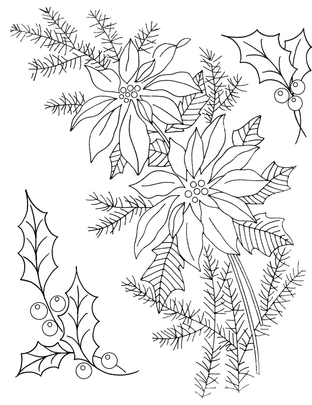 60 Poinsettia Template Printable Free 21