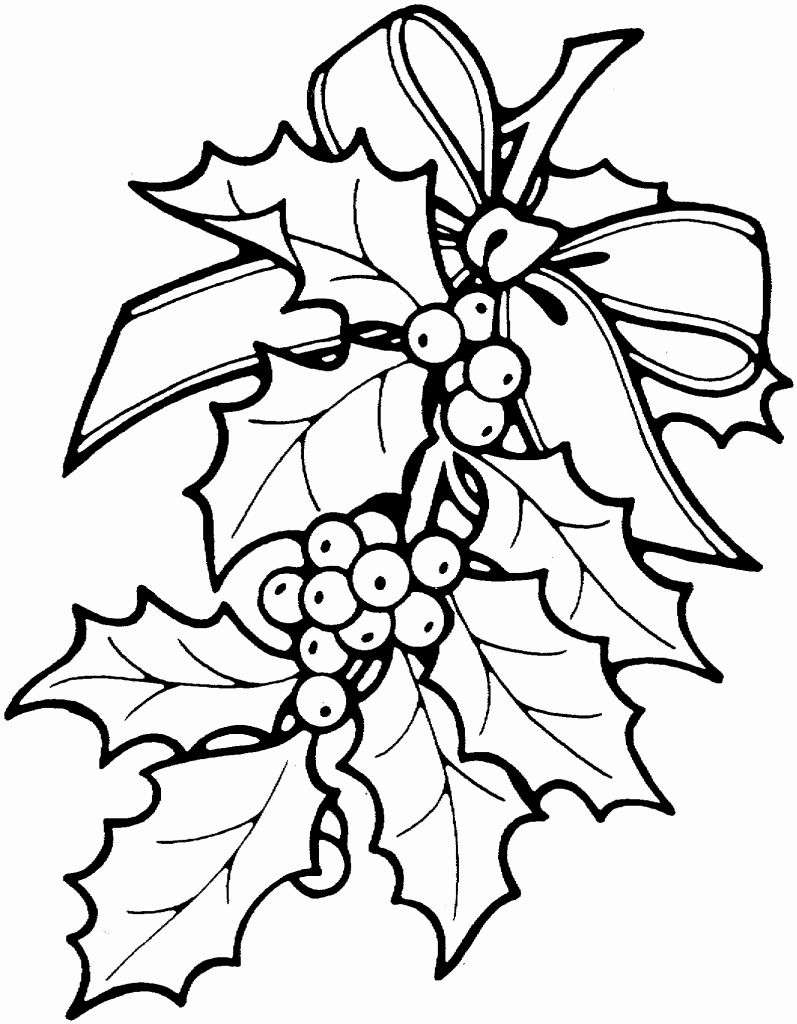 60 Poinsettia Template Printable Free 25