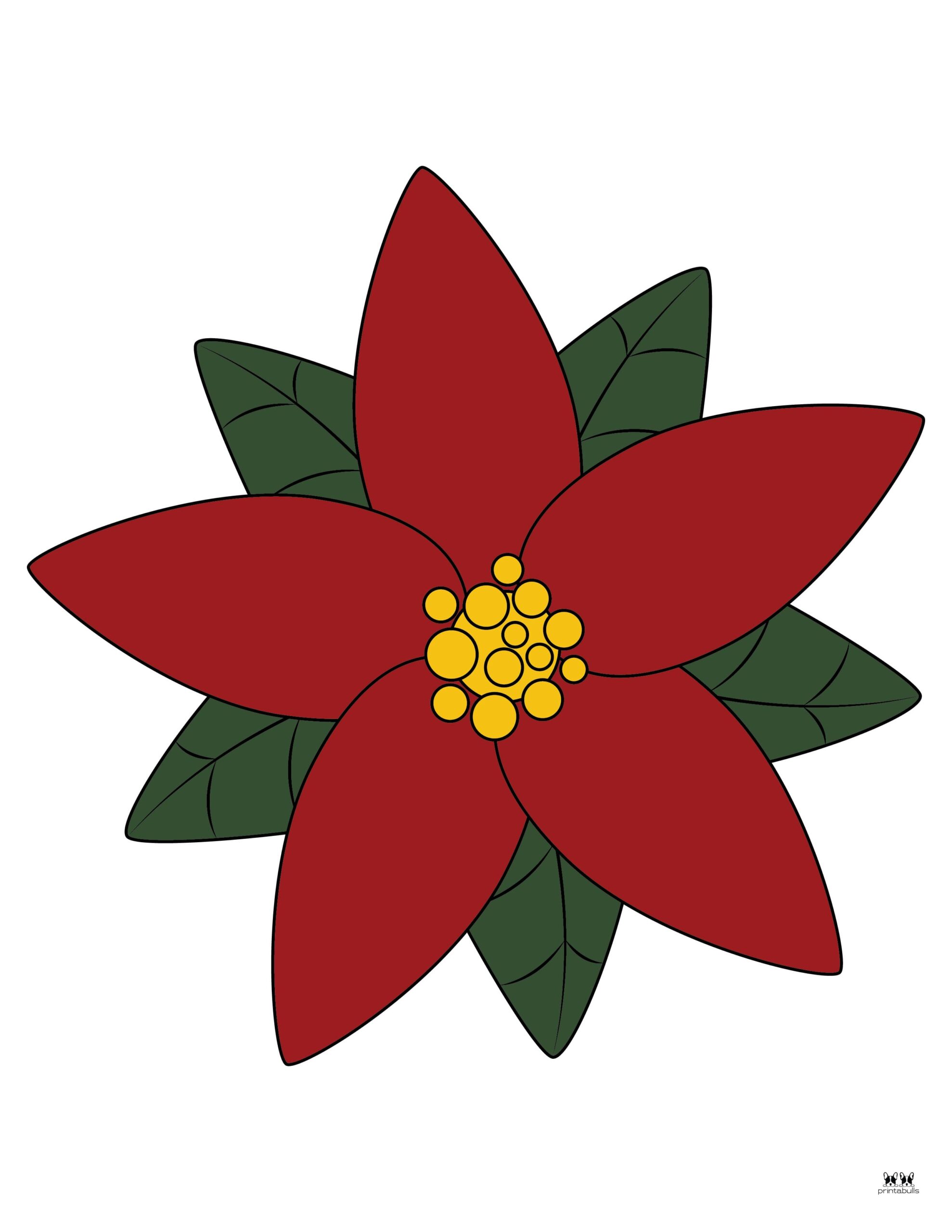 60 Poinsettia Template Printable Free 3