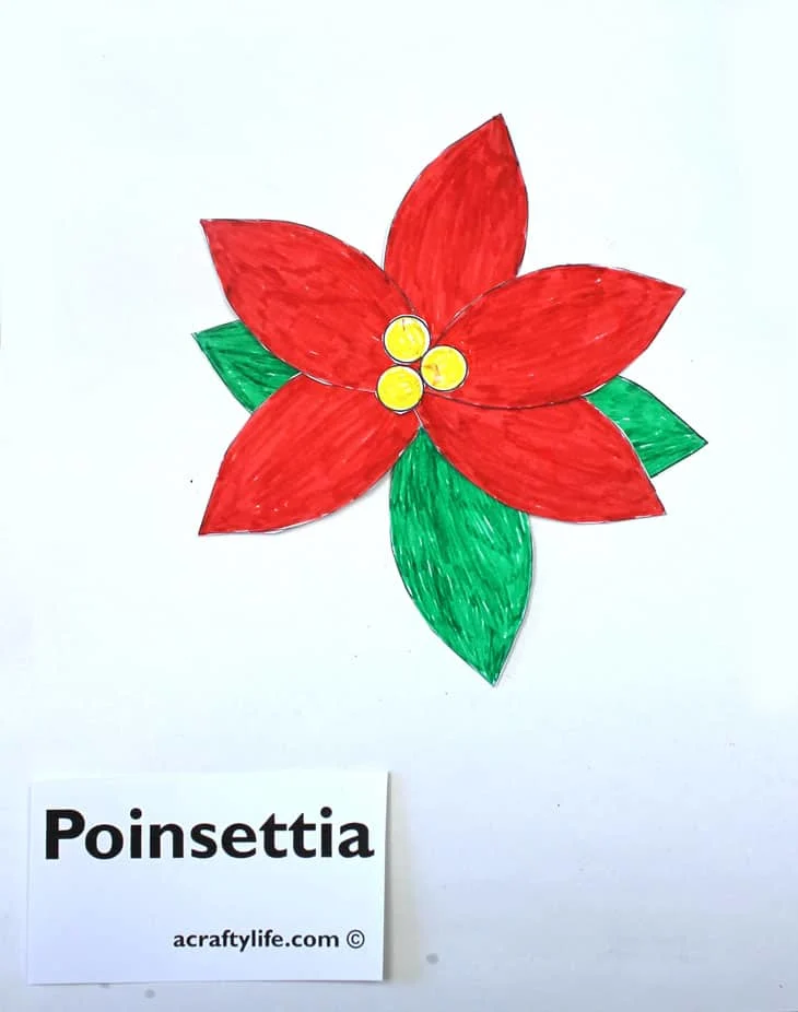 60 Poinsettia Template Printable Free 32