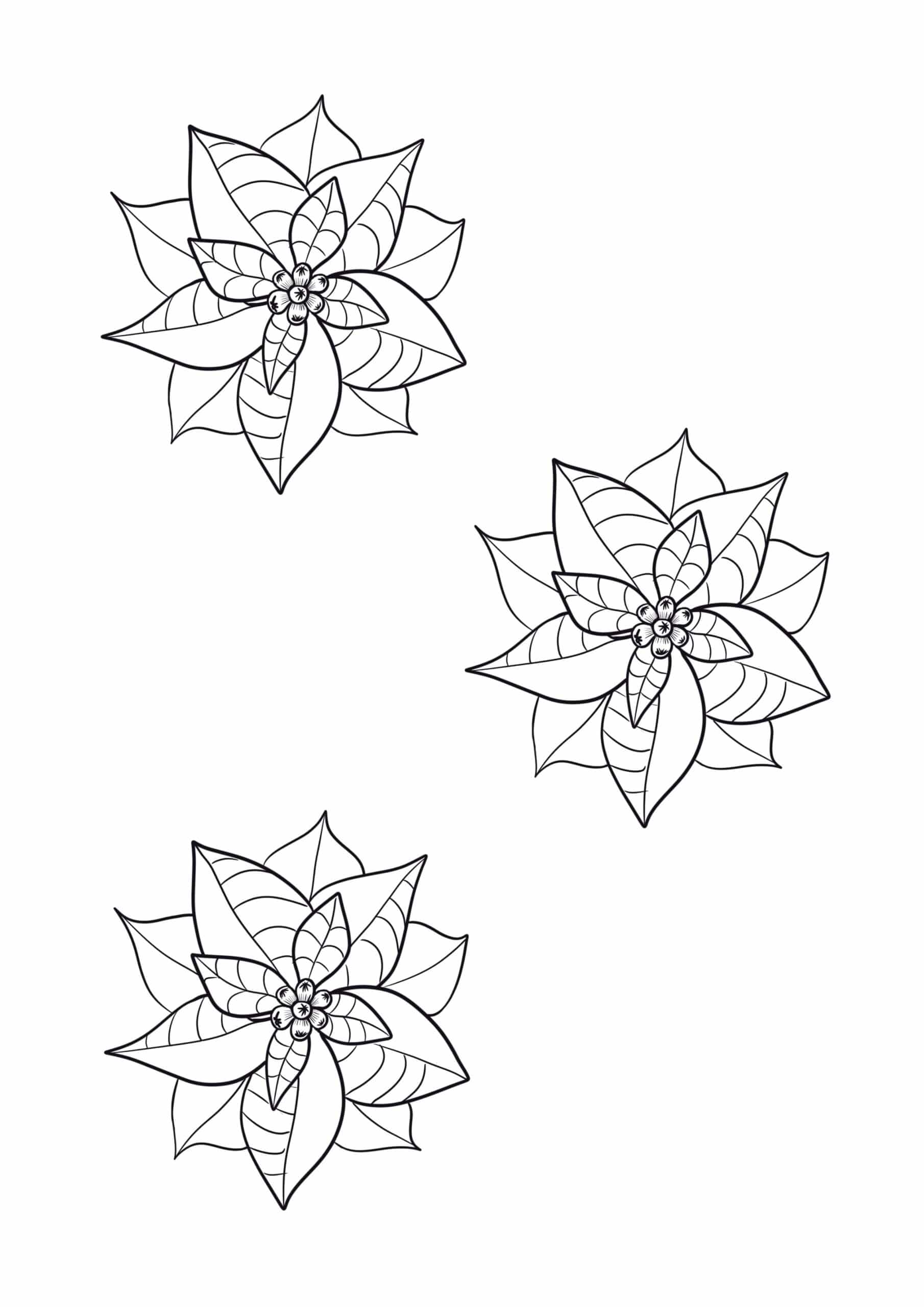 60 Poinsettia Template Printable Free 6