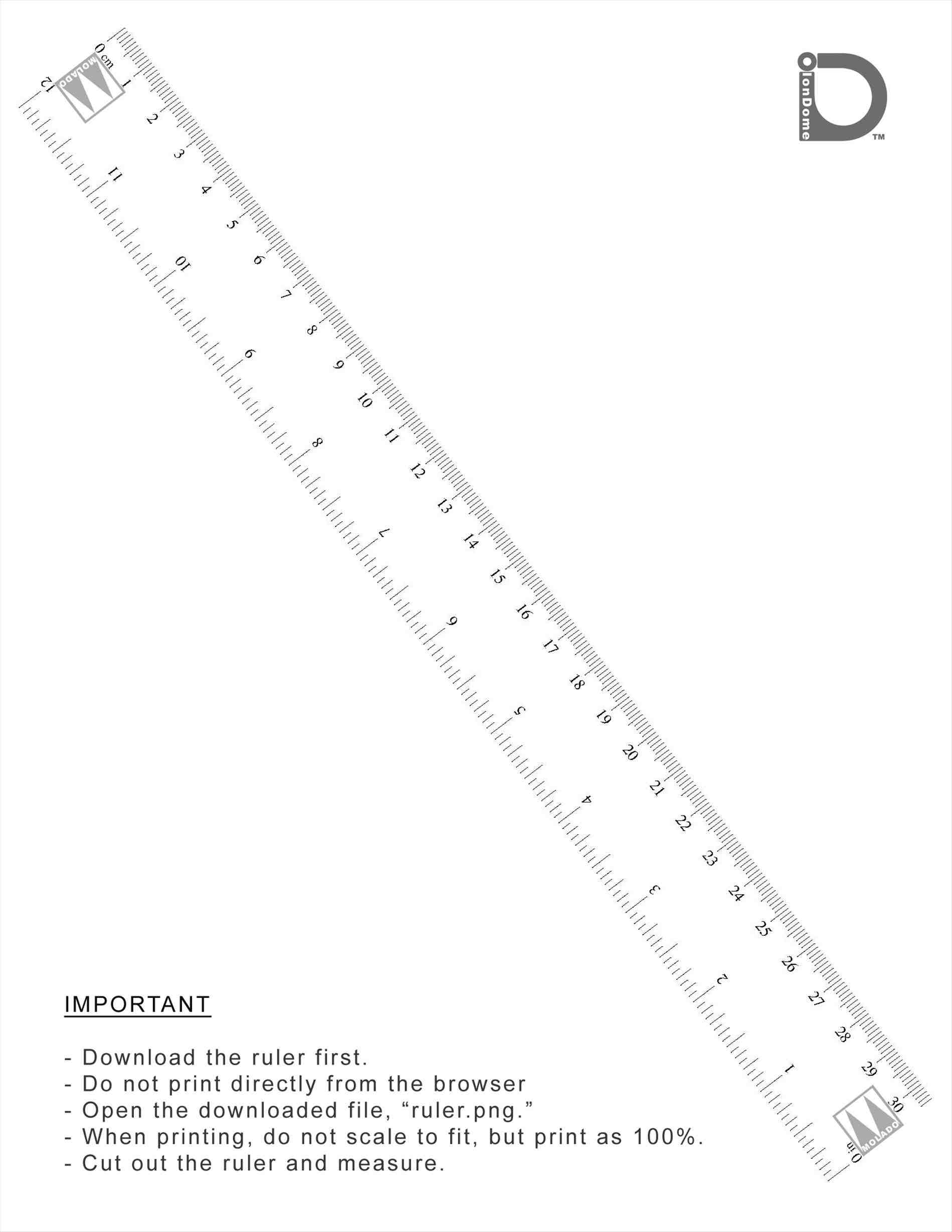 Save 60 Printable 6 Inch Ruler Actual Size Ideas 2