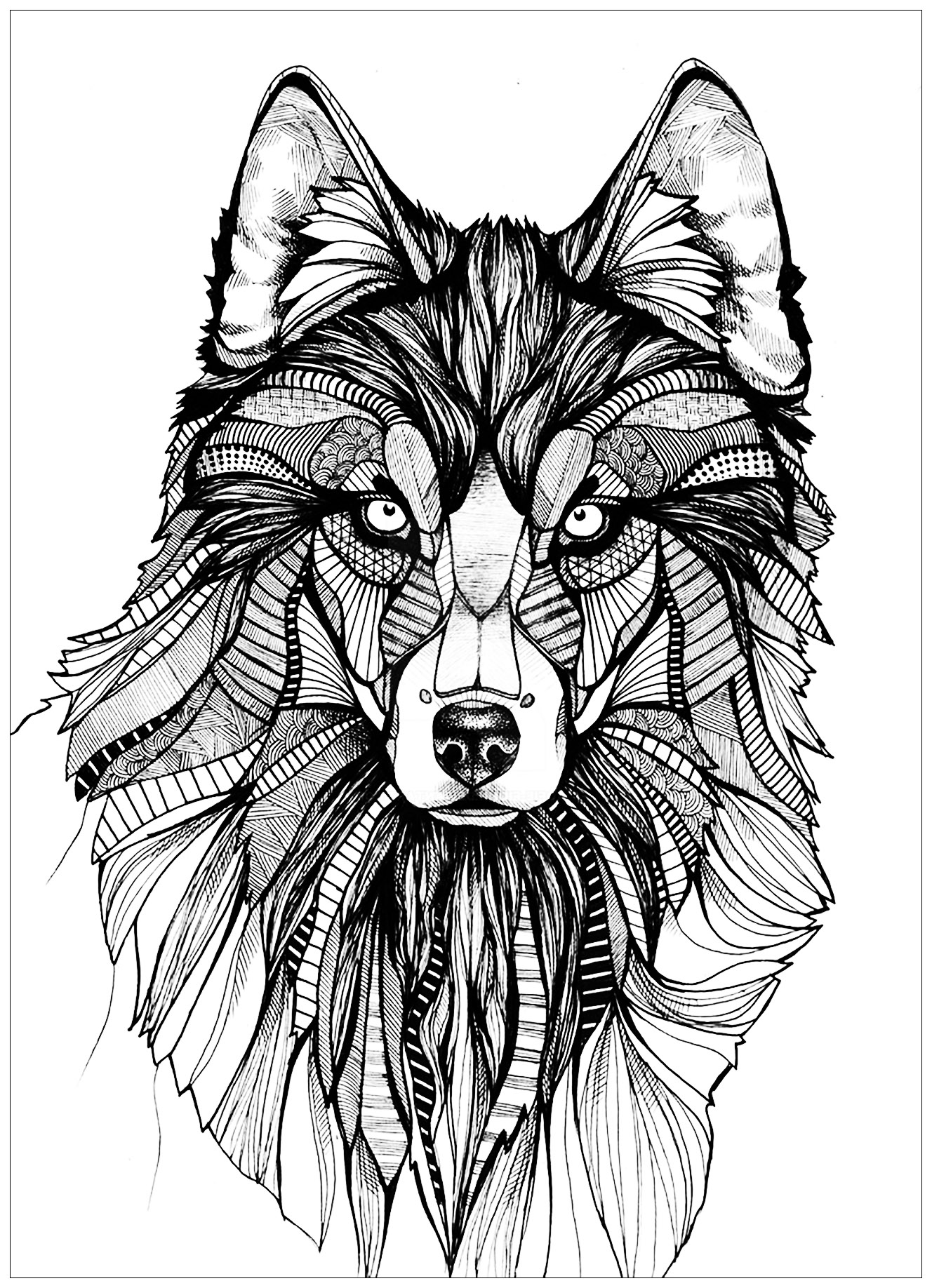 Save 60 Printable Coloring Pages Of Wolves Ideas 45