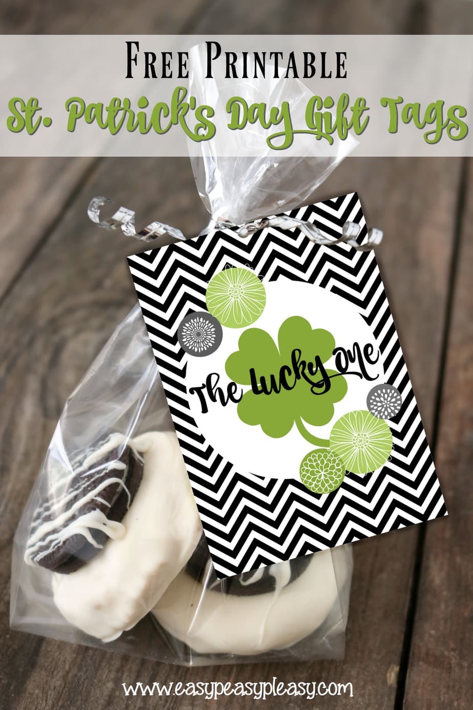 Save 60 Printable St Patrick Day Tags Ideas 55