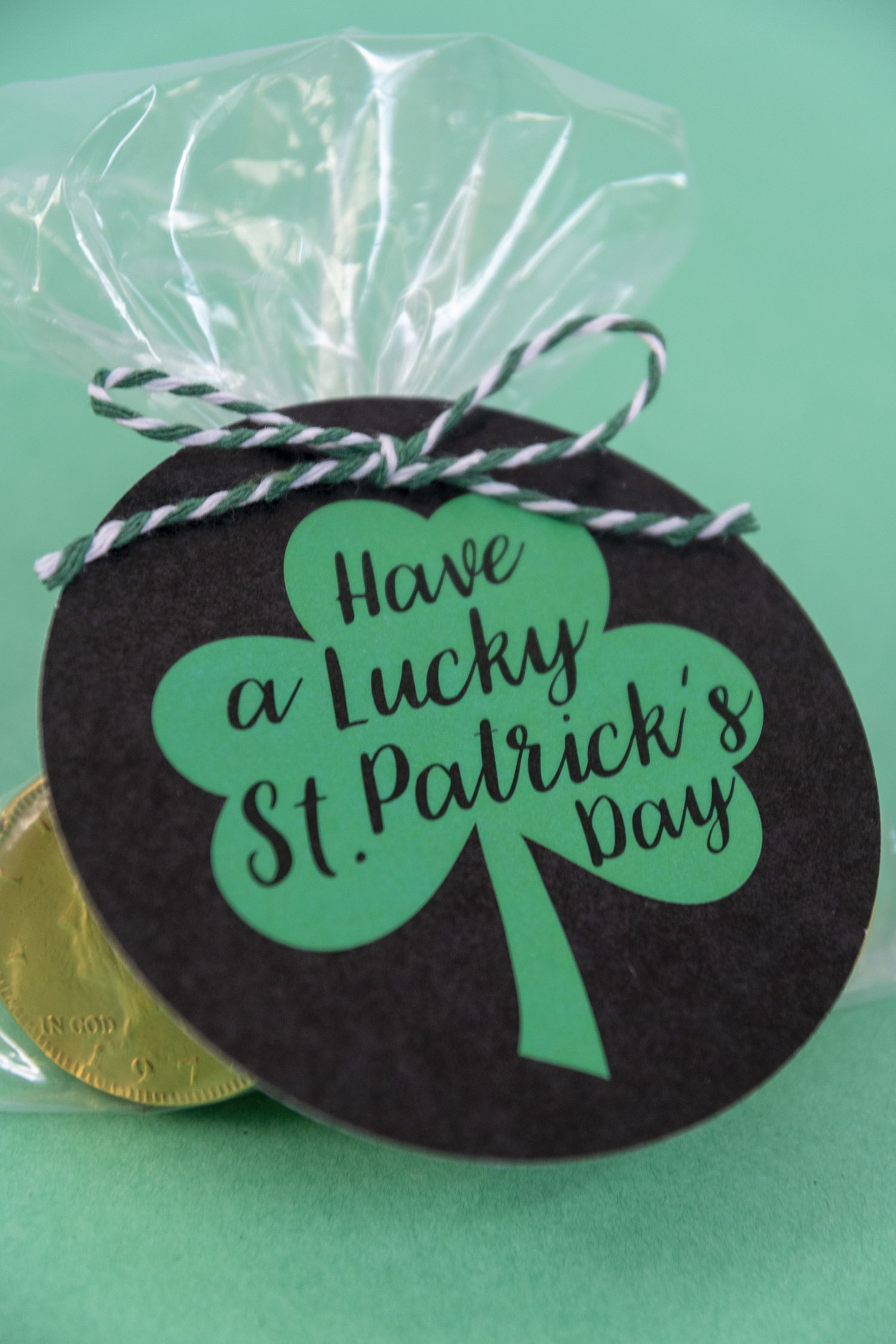 Save 60 Printable St Patrick Day Tags Ideas 56