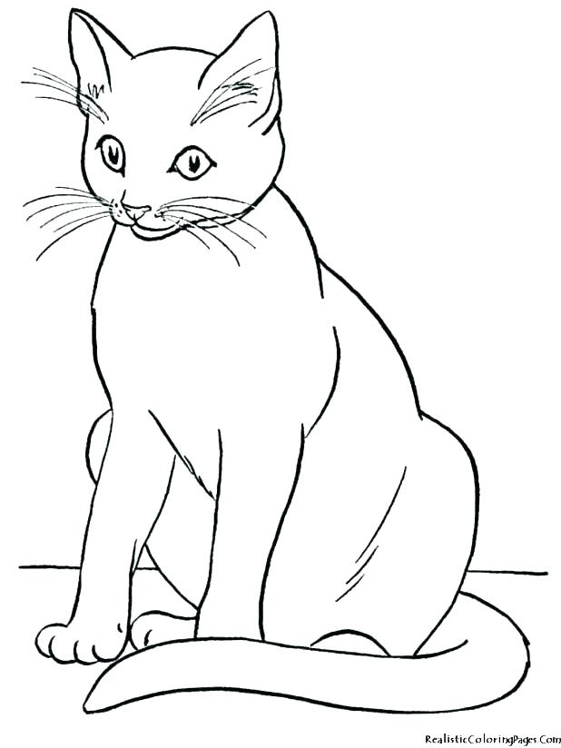 Save 60 Free Printable Coloring Pages Of Cats Ideas 40