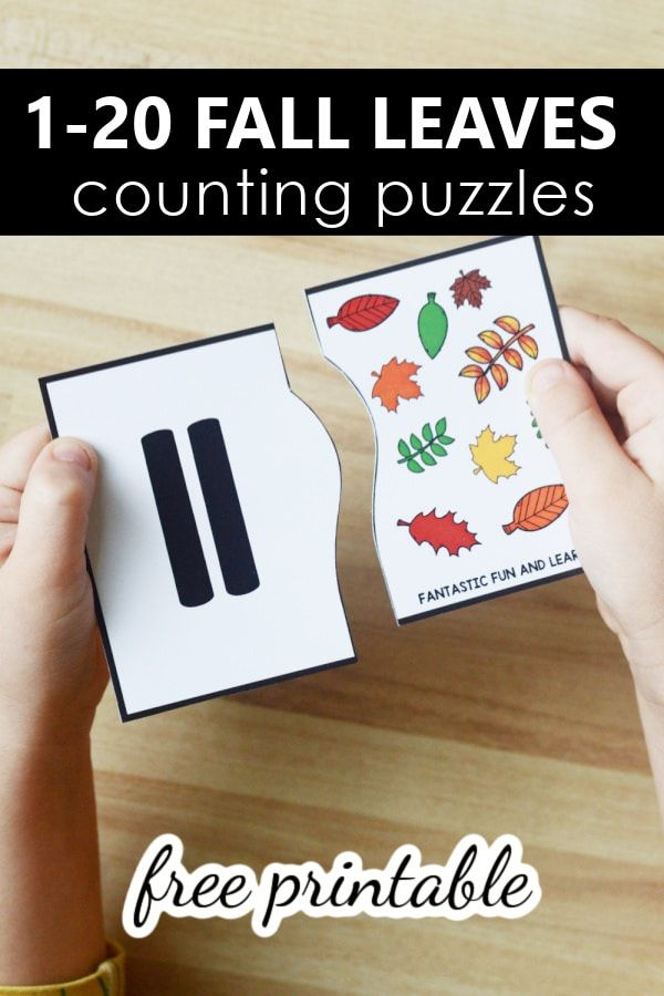 20 Preschool Fall Math Activities