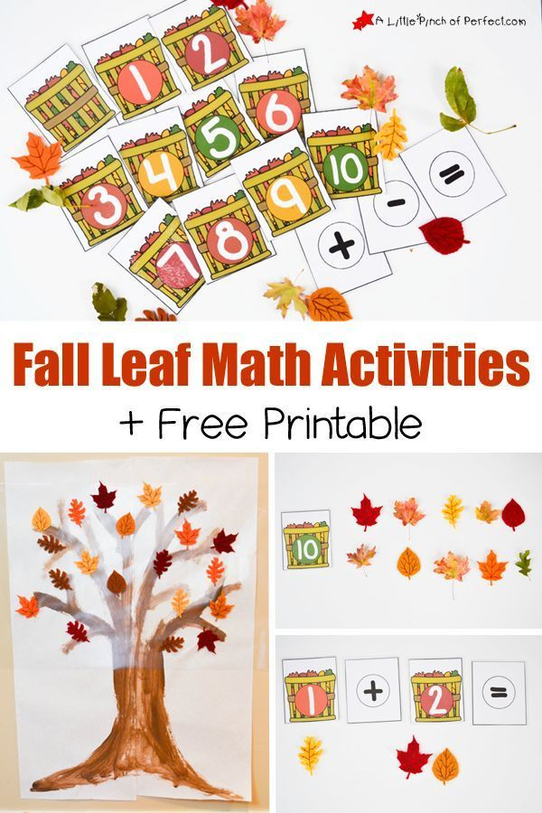 20 Preschool Fall Math Activities